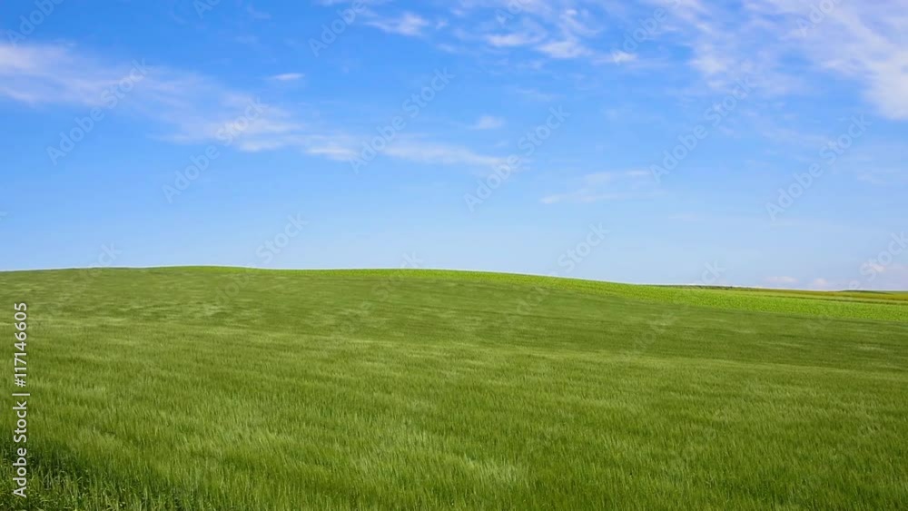 丘の町美瑛の田園風景 丘の町美瑛の田園風景