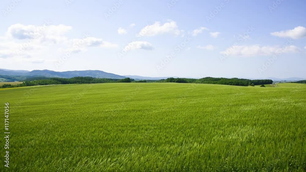 丘の町美瑛の田園風景 丘の町美瑛の田園風景