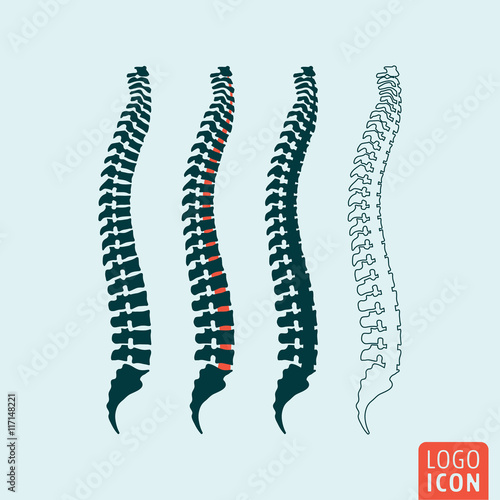 Human spine icon