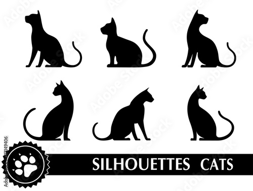 Fototapeta Naklejka Na Ścianę i Meble -  silhouette of cat