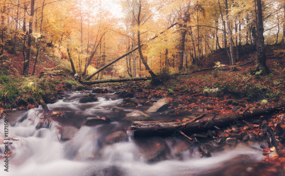 Fototapeta premium Panorama of river in autumn colors forest