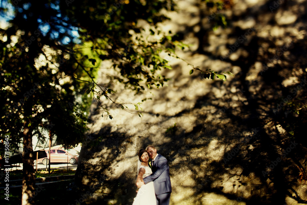 Bride and groom stand hugging in trees' shadow