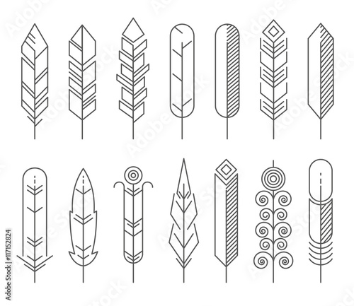 Hipster line feathers vector set