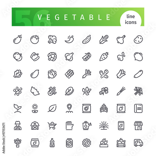 Vegetable Line Icons Set