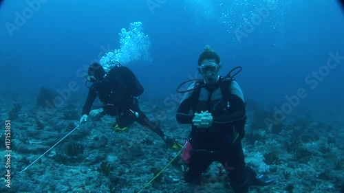 Wallpaper Mural Divers hooked on coral sharks waiting for strong current Torontodigital.ca