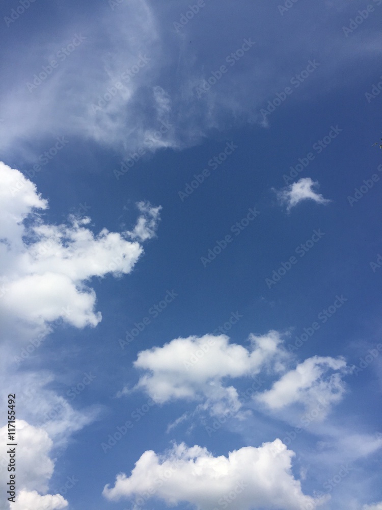 Summer Sky with Clouds Summer Sky with Clouds