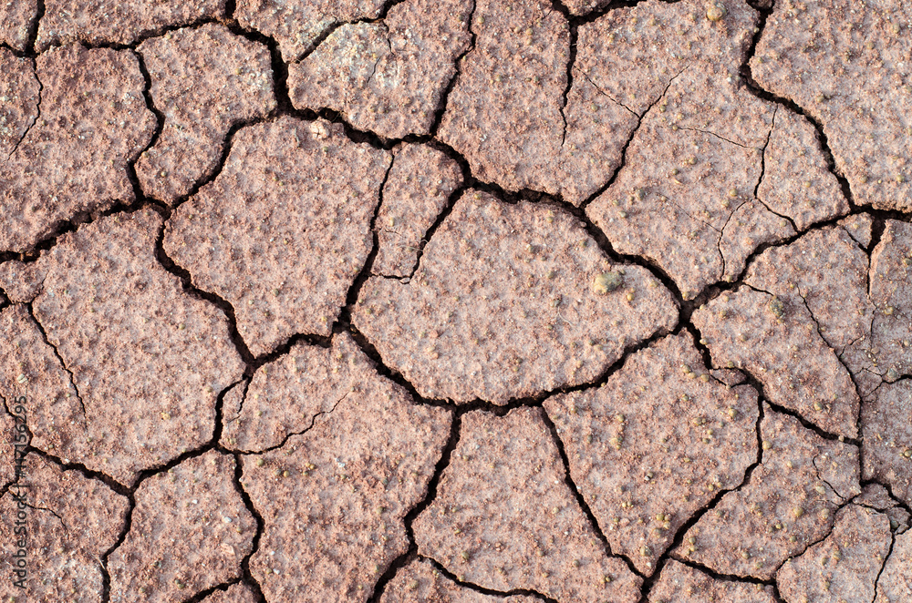 dry soil cracked earth texture dry soil cracked earth texture