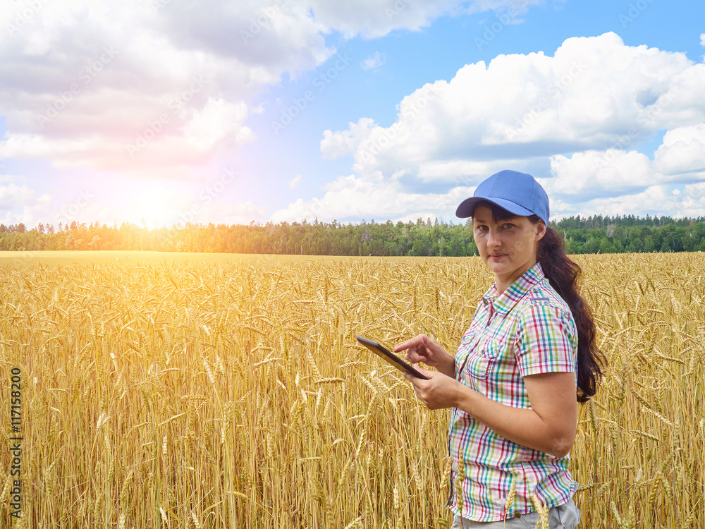 Young pretty farmer girl standing in yellow wheat field Young pretty farmer girl standing in yellow wheat field