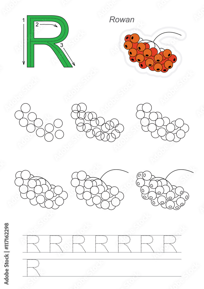 Drawing tutorial. Game for letter R. Red Rowan.