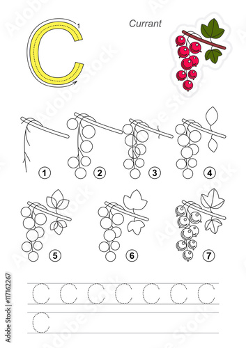 Fotografía Drawing tutorial. Game for letter C. The Red Currant.