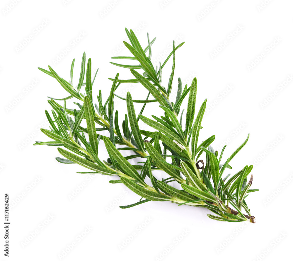 Fototapeta premium Rosemary isolated on white background