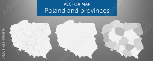 Fototapeta Mapa wektorowa kraju Polska i województwa vol.1