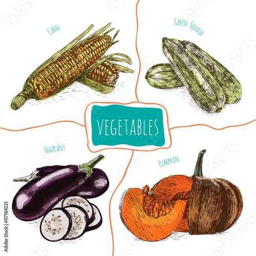 Vector illustration colorful set with vegetables