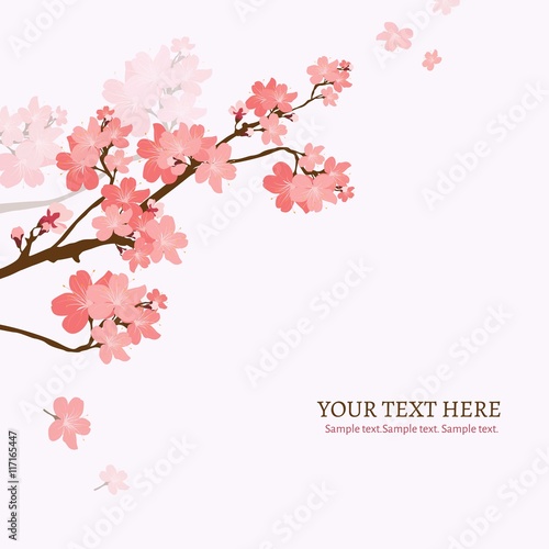 Blooming cherry tree branch background