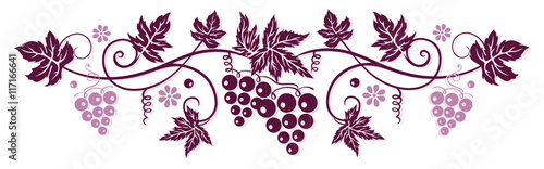 Weinranke mit Weintrauben und Weinblättern in bordeaux.