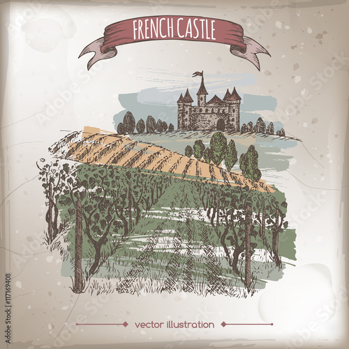 Close up vineyard and castle landscape color vector sketch.