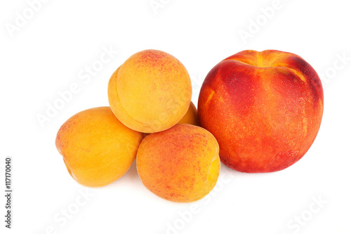Fresh apricots and nectarine isolated on a white background.