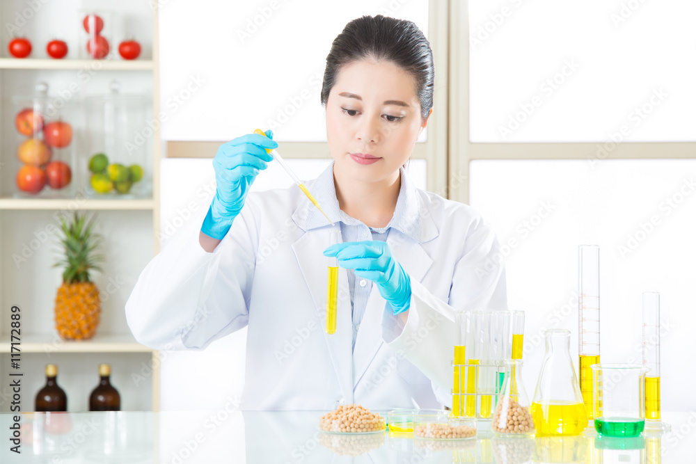 genetic modification food research will find the clue genetic modification food research will find the clue