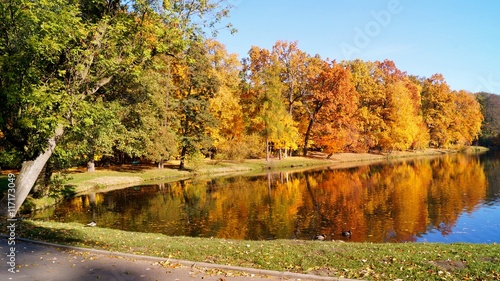 Beautiful autumn landscape. The pond in the autumn in city park
