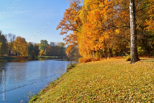 Beautiful autumn landscape. The pond in the autumn in city park  