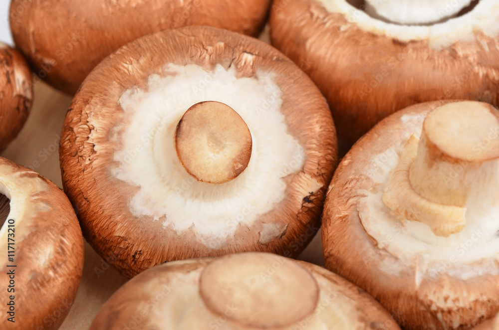 Champignon (True mushroom)