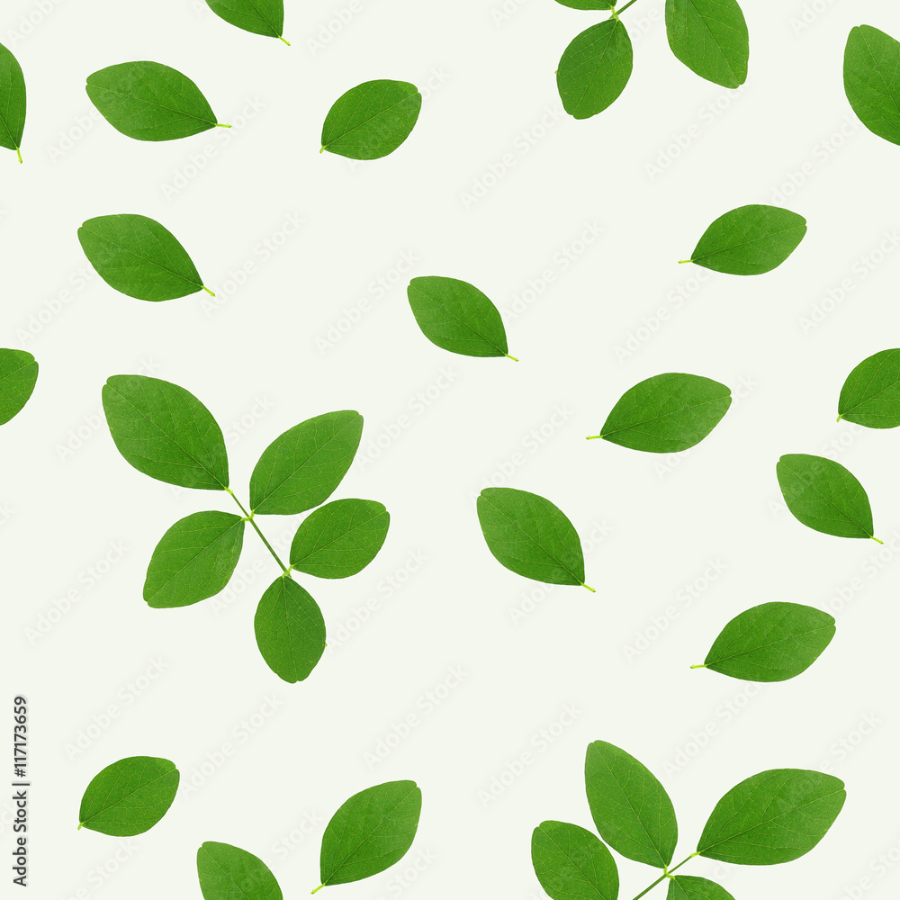 Fototapeta green leaves on white background (seamless pattern) for natural concept