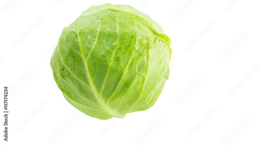 fresh cabbage on white background fresh cabbage on white background