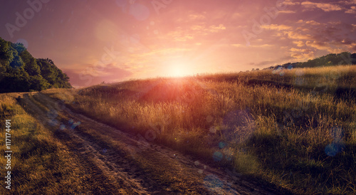 evening road in the field. with warm sunlight in the twilight. pink sky. majestic sunrise   sunset. wonderful blooming field. soft selective focus.  picturesque scene. breathtaking scenery.