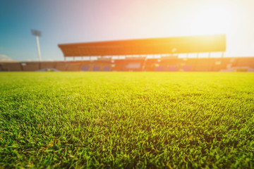 Green grass in soccer stadium