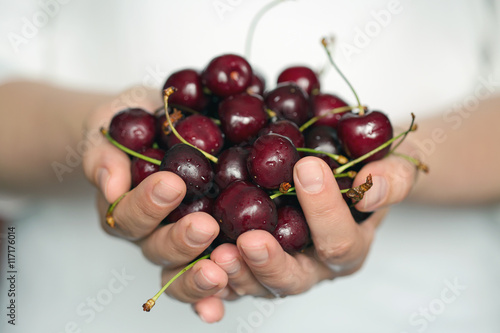 Woman's hands holding ripe cherries. Shallow dof © Ravil Sayfullin