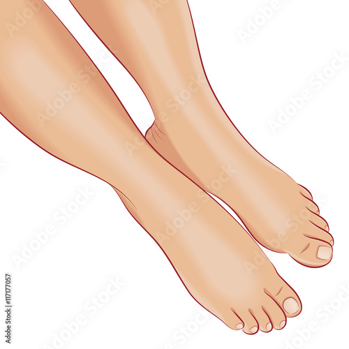 Bare female feet with neutral beige pedicure. Front view, close up. Foot care concept. Feminine concept, design element for spa, cosmetic products. Vector illustration, isolated on white background.