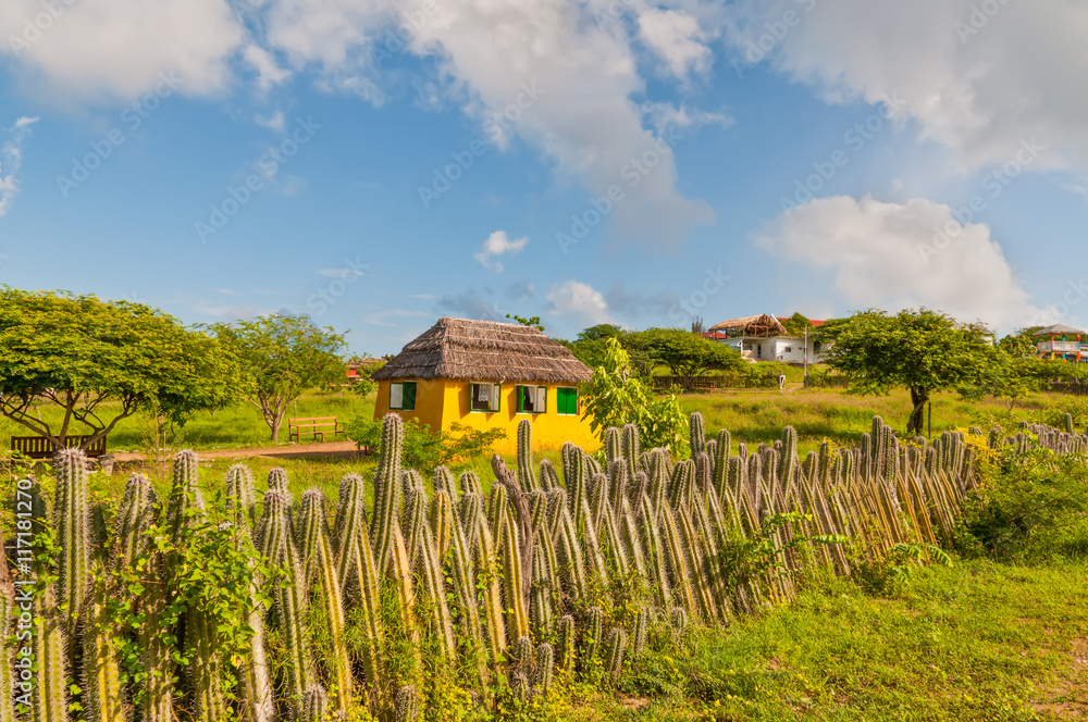 Bonaire yellow home and fence of cactus - Netherlands Antilles