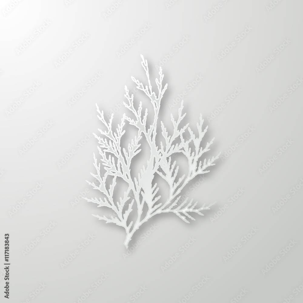 Background with leaf of paper