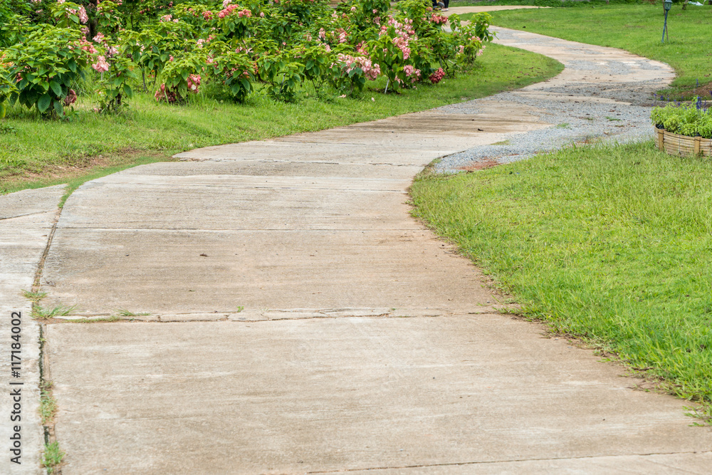 Obraz premium Road in the park