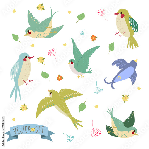 Swallows on white background