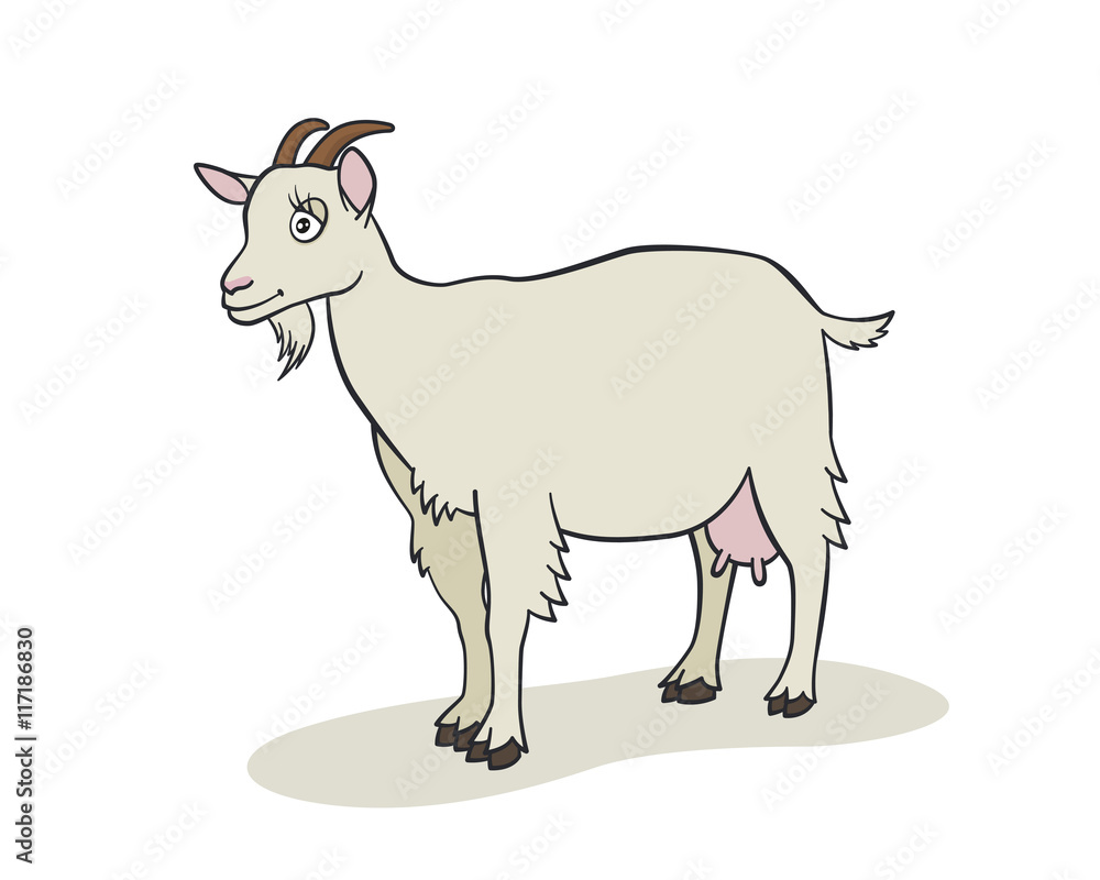 Cute goat cartoon Cute goat cartoon