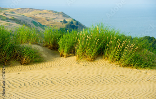 View of Dead Dunes, Curonian Spit and Curonian Lagoon, Nagliai, Nida, Klaipeda, Lithuania. Baltic Dunes. Unesco heritage.