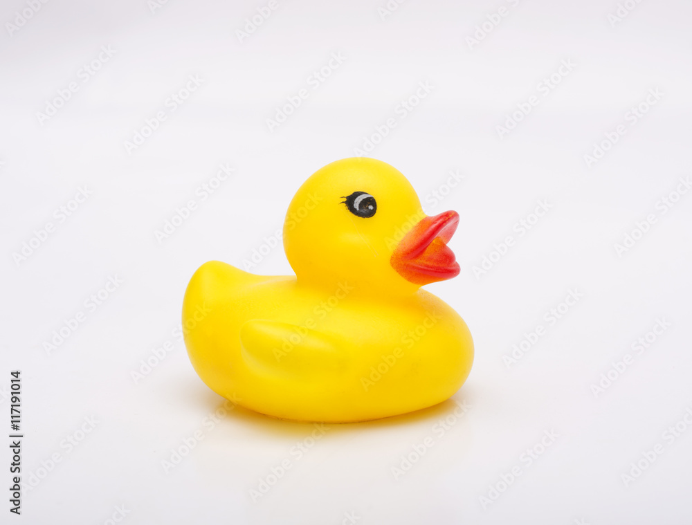 Yellow bath Duck Isolated on white backgroud close up Yellow bath Duck Isolated on white backgroud close up