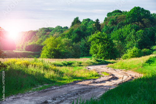 Green Field and Beautiful Sunset