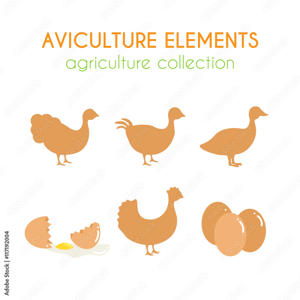 Aviculture vector set. Poultry industry illustration. Flat argiculture collection.