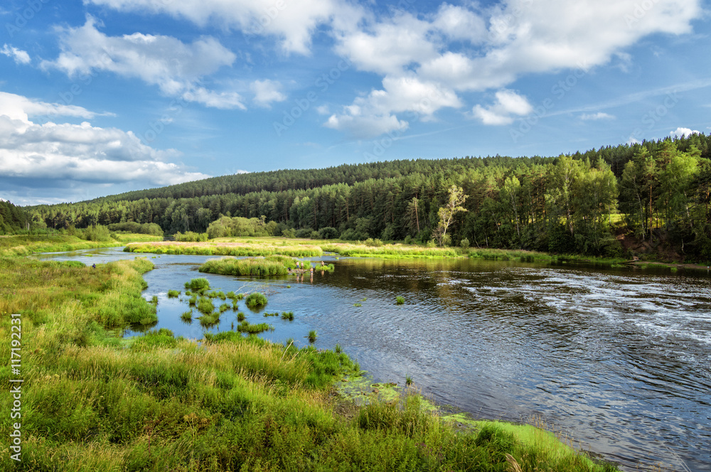 летний пейзаж на берегу реки с сосновым бором, Россия, Урал,