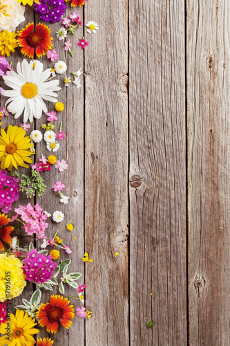 Fototapeta Naklejka Na Ścianę i Meble -  Garden flowers over wooden background