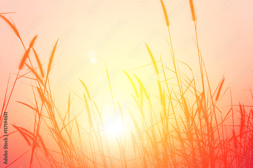 Obraz premium Sunset in the mountain