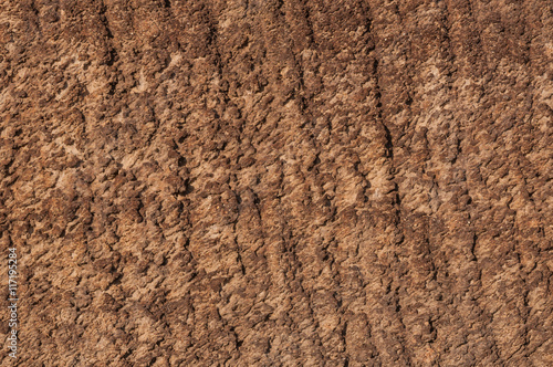 soil texture background ,Drought for background