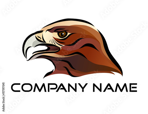 Vector illustration of brown eagle head. Wild predatory bird. Logo design.