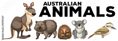 Wild animals from australia