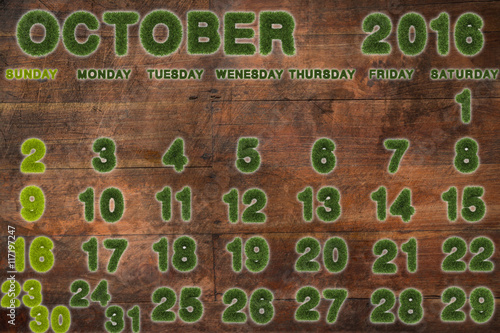 Calendar for October 2016 on wood background,3d rendering