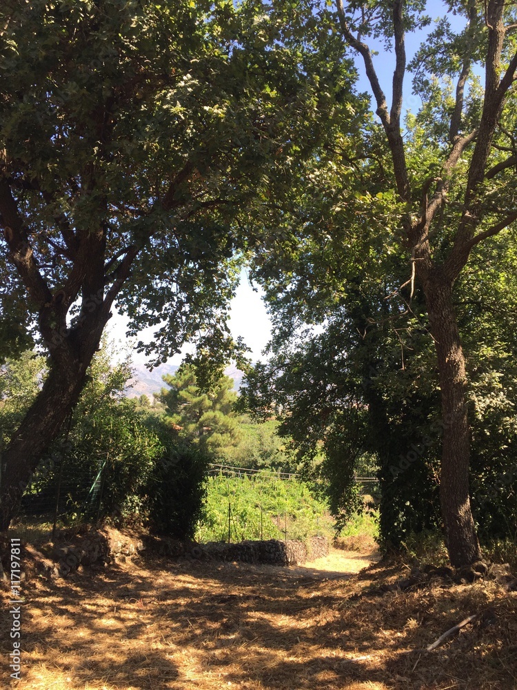 countryside countryside