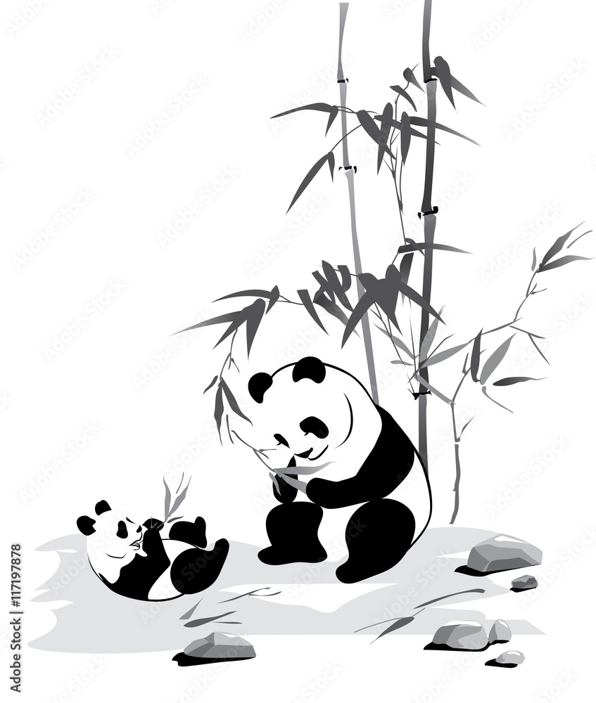 Obraz premium Panda and baby eat a bamboo