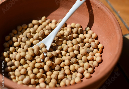 Soy beans in bowl photo